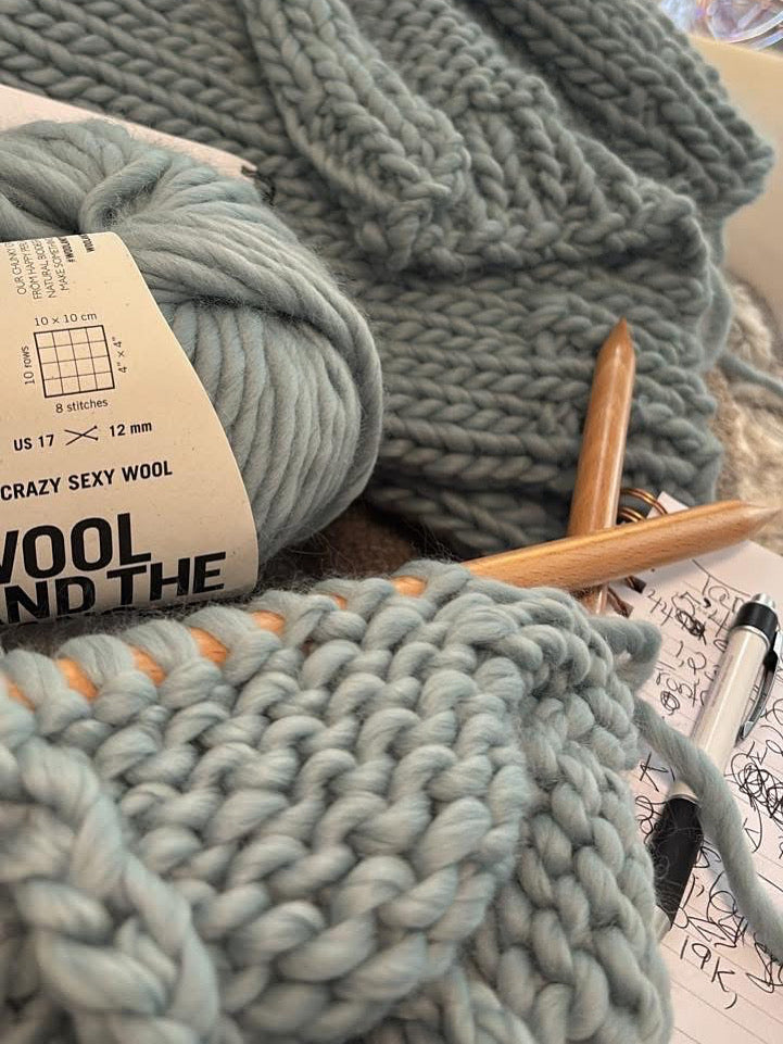 Private Knitting Lesson ~1 Hour
