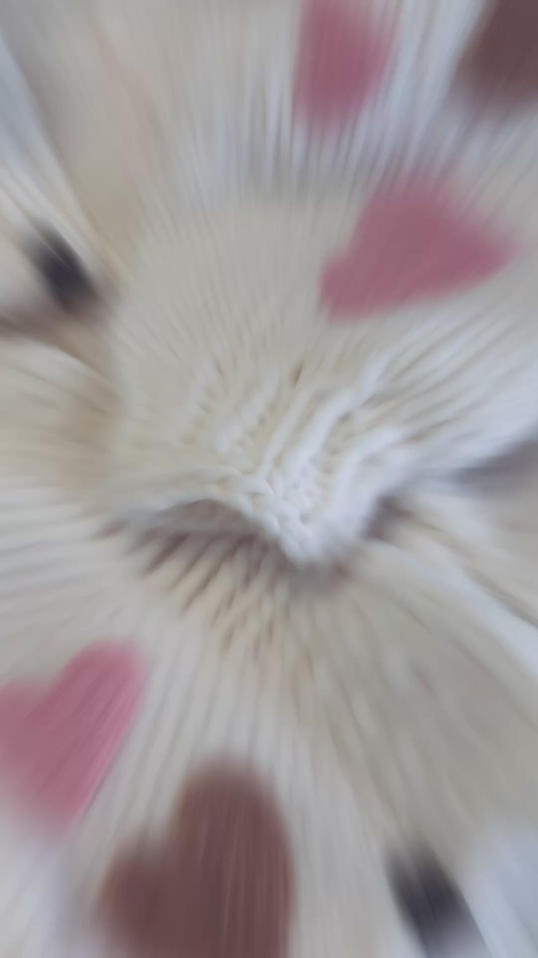 Le Coeur Bomber